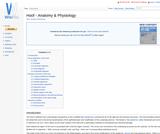 Hoof - Anatomy & Physiology