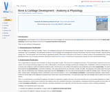 Bone & Cartilage Development - Anatomy & Physiology