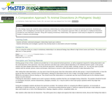 A Comparative Approach To Animal Dissections (A Phylogenic Study)