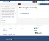 CULA 241 Sophomore Internship