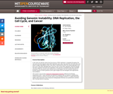 Avoiding Genomic Instability: DNA Replication, the Cell Cycle, and Cancer, Fall 2006