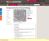 Principle and Practice of Human Pathology, Spring 2003