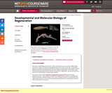 Developmental and Molecular Biology of Regeneration, Spring 2008