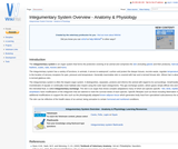 Integumentary System Overview - Anatomy & Physiology