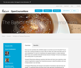 The Basics of Transport Phenomena