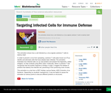 Antigen presentation and CTL Antigen presentation and CTL
