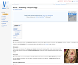 Anus - Anatomy & Physiology