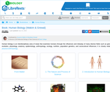 Human Biology