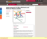 Global Enterprise for Micro-Mechanics and Molecular Medicine (GEM4), Summer 2006