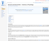 Bronchi and Bronchioles - Anatomy & Physiology