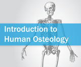 Introduction to Human Osteology Introduction to Human Osteology