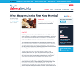 What Happens in the First Nine Months?