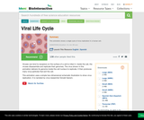 Viral Lifecycle