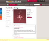 Cellular Neurobiology, Spring 2012