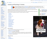 Anatomy and Physiology of Animals