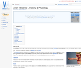 Avian Intestines - Anatomy & Physiology