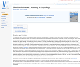 Blood Brain Barrier - Anatomy & Physiology